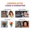 H-1802 Desktop Humidifier (6) 4L Home Cool Mist Ultrasonic Humidifier H-1802 | LIANXIANG